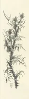 An illustration from The Christian Year, etc. [With a portrait (1874)