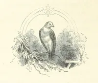 An illustration from The Christian Year, etc (1880)