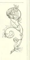 An illustration from The Christian Year, etc (1880)