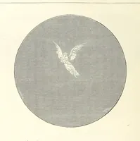 An illustration from The Christian Year, etc (1880)