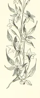 An illustration from The Christian Year, etc (1880)