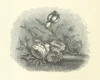 An illustration from The Christian Year, etc (1880)