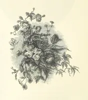 An illustration from The Christian Year, etc (1880)
