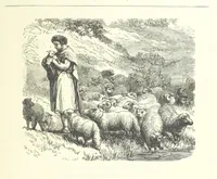 An illustration from The Christian Year, etc (1880)