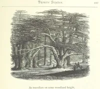 An illustration from The Christian Year, etc (1880)