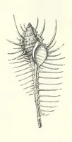 An illustration from The Christian Year, etc (1880)
