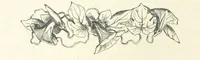 An illustration from The Christian Year, etc (1880)