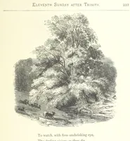 Picture 191 of 300 from The Christian Year, etc (1880), leaf 251