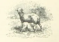 An illustration from The Christian Year, etc (1880)