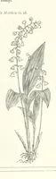 An illustration from The Christian Year, etc (1880)