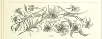 An illustration from The Christian Year, etc (1880)