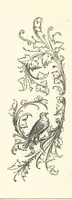 Picture 217 of 300 from The Christian Year, etc (1880), leaf 286