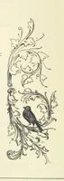 An illustration from The Christian Year, etc (1880)