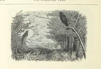 An illustration from The Christian Year, etc (1880)