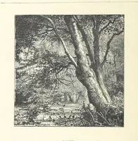An illustration from The Christian Year, etc (1880)