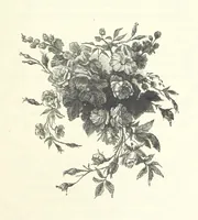 An illustration from The Christian Year, etc (1880)