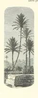 An illustration from The Christian Year, etc (1880)