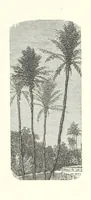 An illustration from The Christian Year, etc (1880)