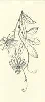 An illustration from The Christian Year, etc (1880)