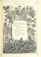 An illustration from The Christian Year, etc (1880)