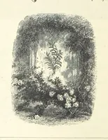 An illustration from The Christian Year, etc (1880)