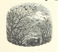 An illustration from The Christian Year, etc (1880)