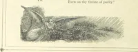 An illustration from The Christian Year, etc (1880)