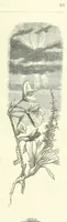 An illustration from The Christian Year, etc (1880)