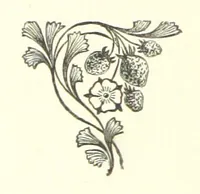 Picture 3 of 16 from Far away and long ago. [A story (1889), leaf 14