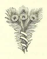 An illustration from Far away and long ago. [A story (1889)