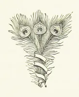 Picture 5 of 16 from Far away and long ago. [A story (1889), leaf 33