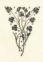 An illustration from Far away and long ago. [A story (1889)