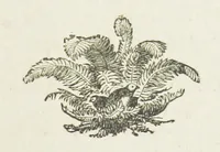 An illustration from White Poppies. A novel ... With illustrations by R. A. Bell (1893)