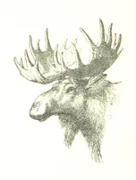 An illustration from The Young Ranchmen; or, Perils of Pioneering in the Wild West ... Illustrated by Walter S. Stacey (1891)