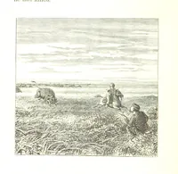 An illustration from The Young Ranchmen; or, Perils of Pioneering in the Wild West ... Illustrated by Walter S. Stacey (1891)