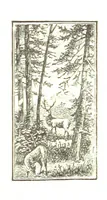 An illustration from The Young Ranchmen; or, Perils of Pioneering in the Wild West ... Illustrated by Walter S. Stacey (1891)