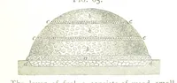 An illustration from A practical Treatise on Metallurgy, adapted from the last German edition of Professor K.'s Metallurgy, by W. Crookes and E. Röhrig ... Illustrated, etc (1868)