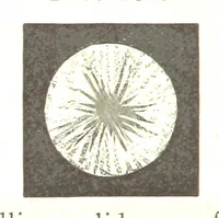 An illustration from A practical Treatise on Metallurgy, adapted from the last German edition of Professor K.'s Metallurgy, by W. Crookes and E. Röhrig ... Illustrated, etc (1868)