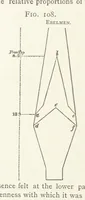 Picture 82 of 112 from A practical Treatise on Metallurgy, adapted from the last German edition of Professor K.'s Metallurgy, by W. Crookes and E. Röhrig ... Illustrated, etc (1868), leaf 620