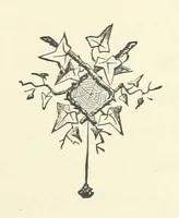 An illustration from Rollica Reed. [A tale.] ... Illustrated, etc (1890)