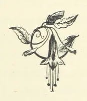 An illustration from Rollica Reed. [A tale.] ... Illustrated, etc (1890)