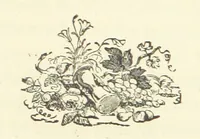 An illustration from Lord Maskelyne's Daughter. A story of the Northern Border ... Author's edition (1880)