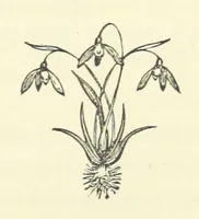 An illustration from Lord Maskelyne's Daughter. A story of the Northern Border ... Author's edition (1880)
