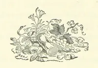 An illustration from My Home in the Shires. A romance. Author's edition (1876)