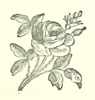 An illustration from My Home in the Shires. A romance. Author's edition (1876)