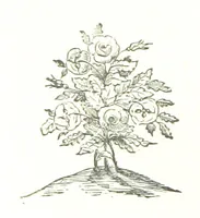 An illustration from My Home in the Shires. A romance. Author's edition (1876)