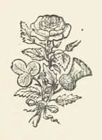 An illustration from Rose, Shamrock, and Thistle. A story of two Border towers (1893)