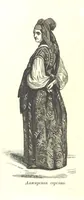Picture 3 of 72 from О племенахъ земнаго шара. Съ рисунками (1863), leaf 38