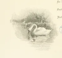 An illustration from The King's Highway, daily texts & hymns for a month. Illustrated by F. Hines (1890)