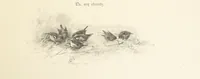 An illustration from The King's Highway, daily texts & hymns for a month. Illustrated by F. Hines (1890)